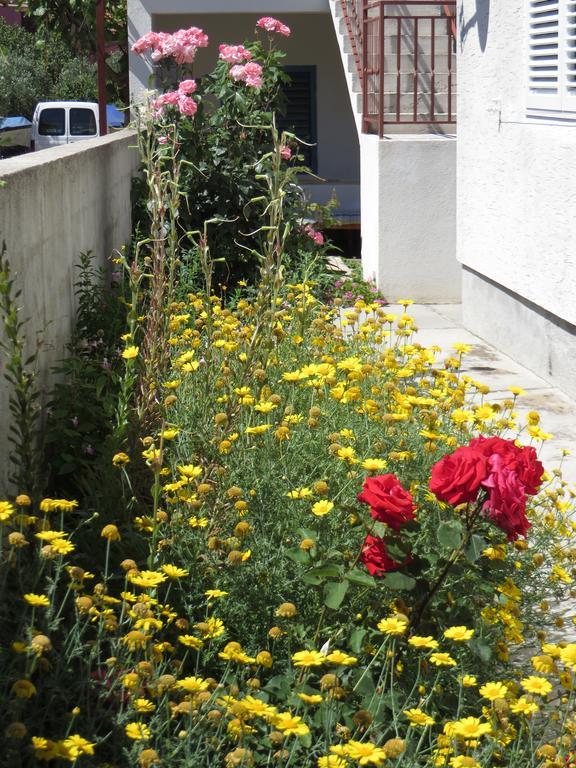 Apartment Cvita Biograd Na Moru Kamer foto