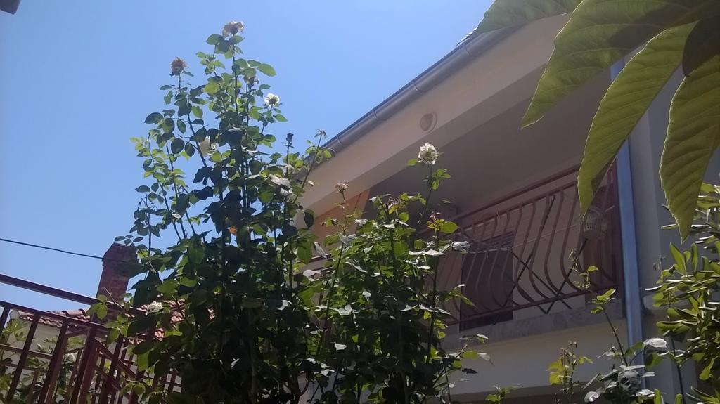 Apartment Cvita Biograd Na Moru Kamer foto